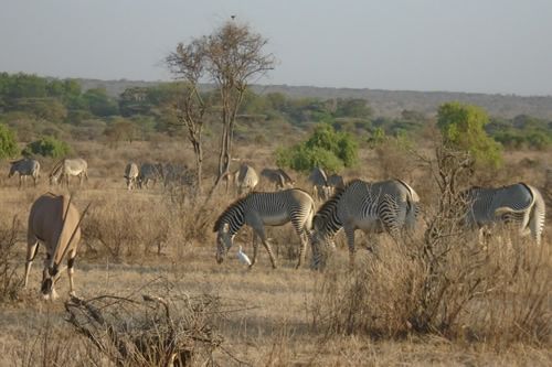 Samburu Game Reserve