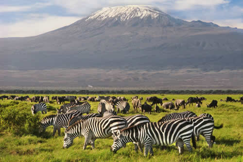 amboseli 