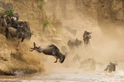 masai mara game reserve