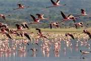 lake manyara