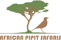 african pipit safaris logo